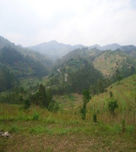 rwanda-100berg2